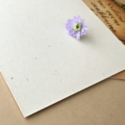 svatebni karticka vintage flowers 3